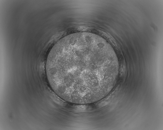 X0000110980473200907101414