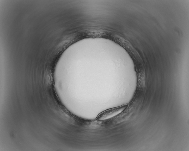 X0000110980474200907101414