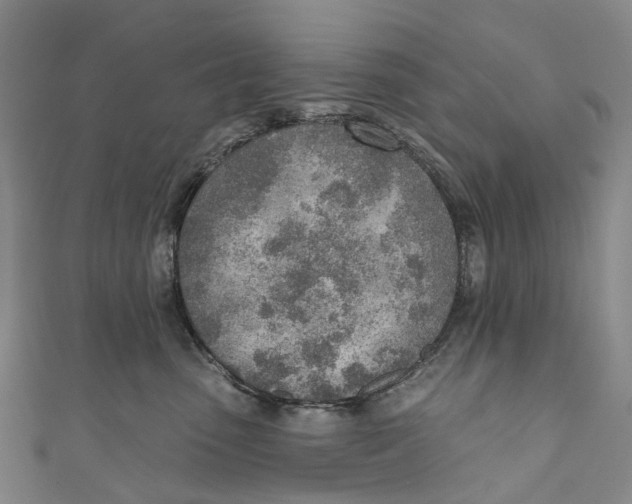 X0000110980475200907101414