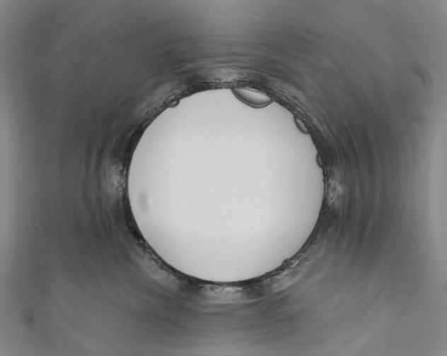 X0000110980476200907101414