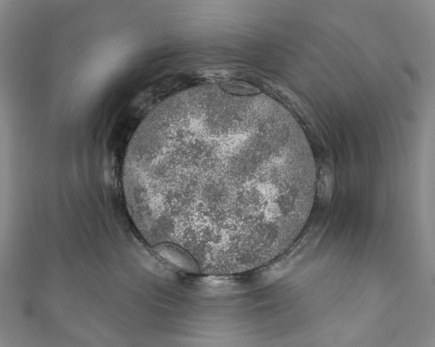 X0000110980477200907101414