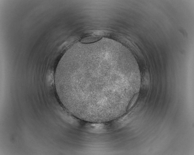 X0000110980478200907101414