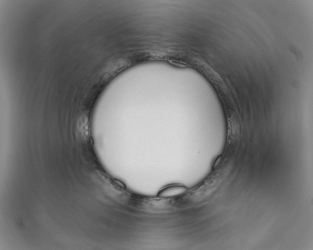 X0000110980479200907101414