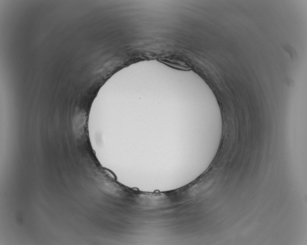 X0000110980480200907101414