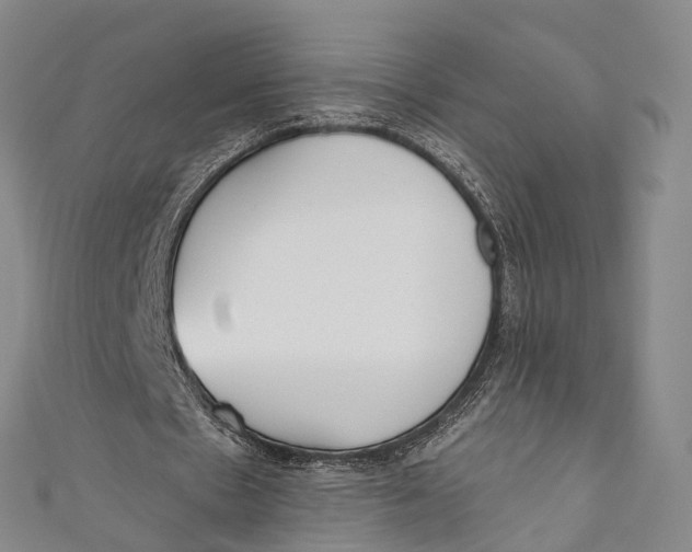 X0000110980481200907101413