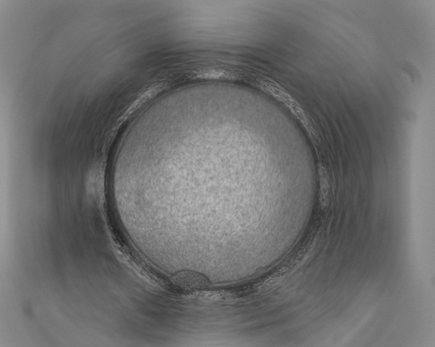 X0000110980482200907101413