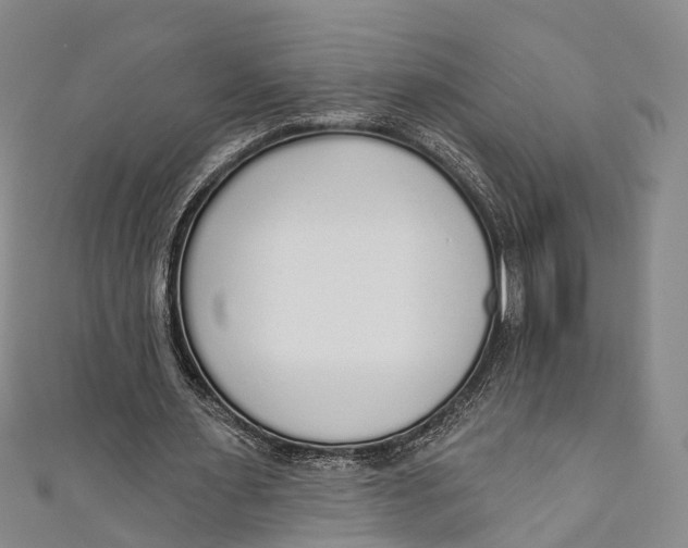 X0000110980483200907101413