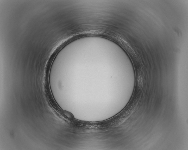 X0000110980484200907101413