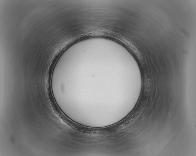 X0000110980485200907101413