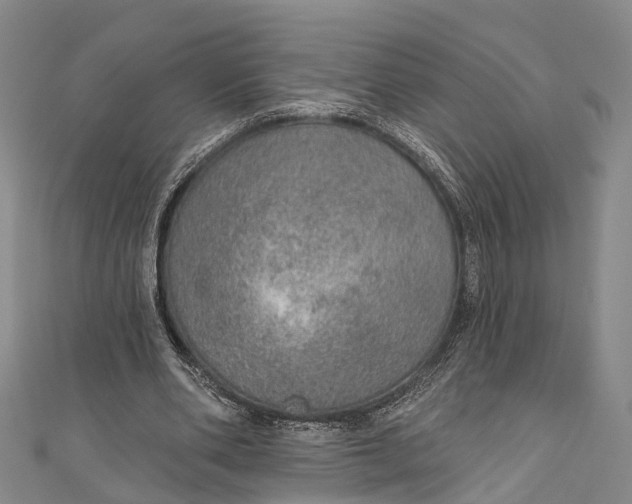 X0000110980486200907101413