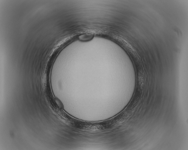 X0000110980488200907101413