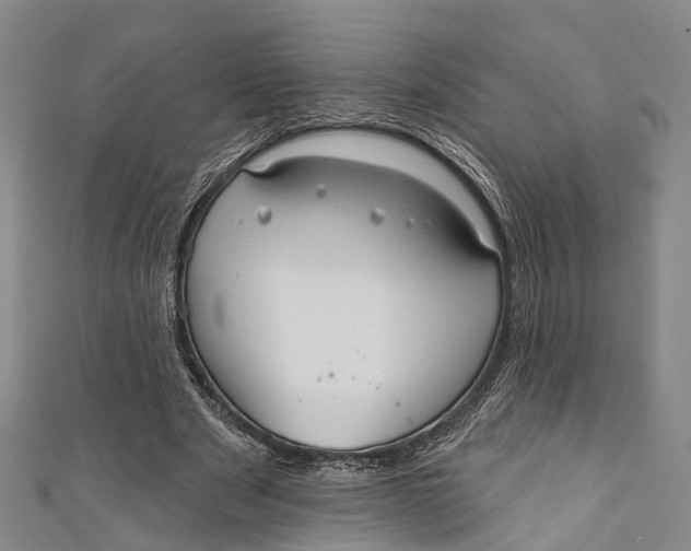 X0000110980489200907101413