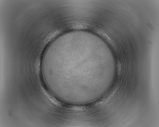 X0000110980490200907101413