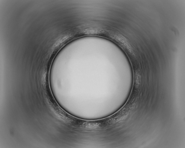 X0000110980491200907101413