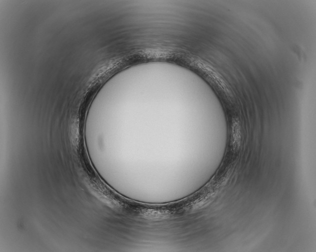 X0000110980494200907101413