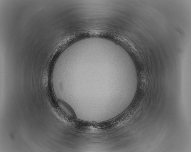 X0000110980496200907101413