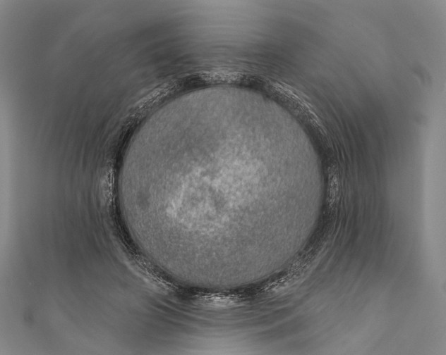 X0000110980498200907101413