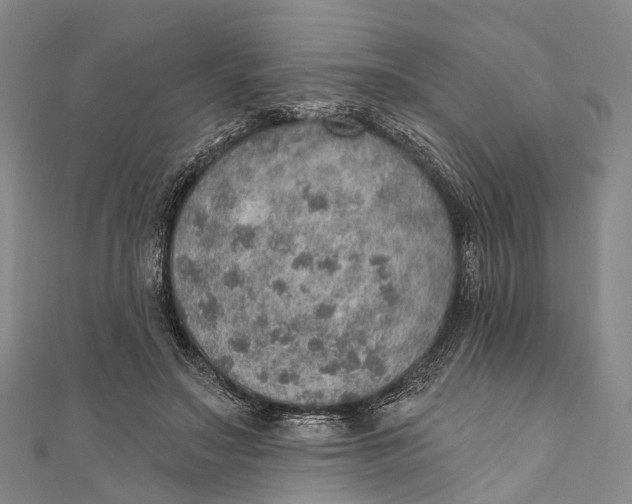 X0000110980499200907101413