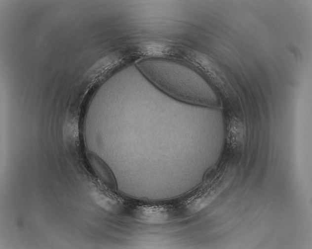 X0000110980500200907101413