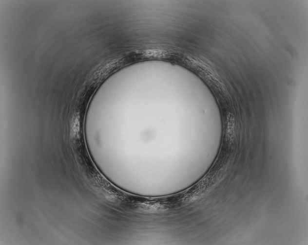 X0000110980502200907101413