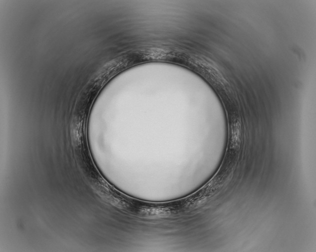 X0000110980503200907101413