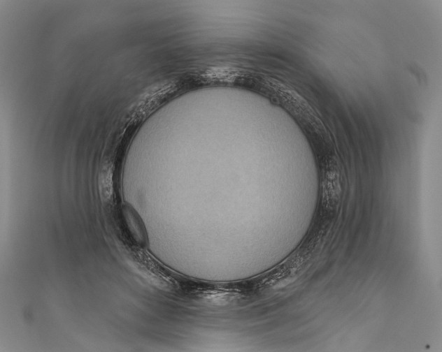 X0000110980504200907101413