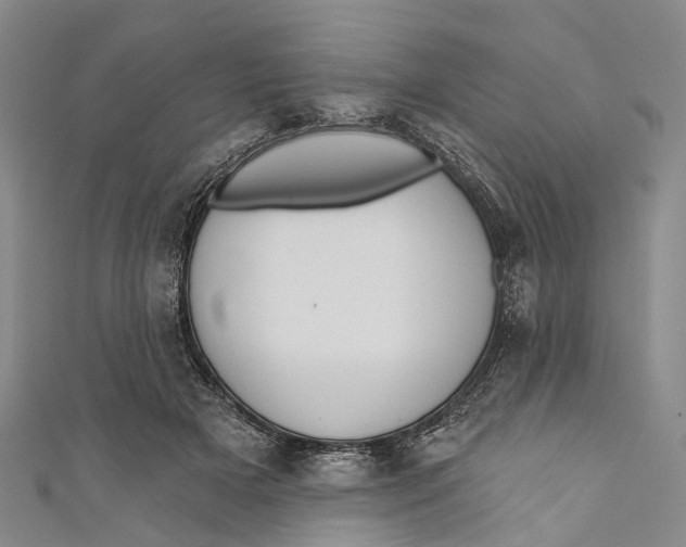 X0000110980505200907101413