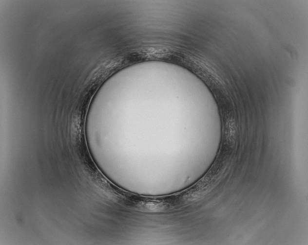 X0000110980506200907101413