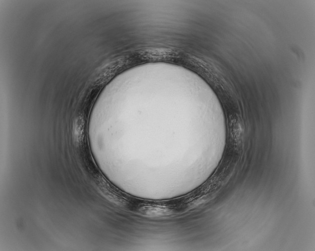 X0000110980507200907101413