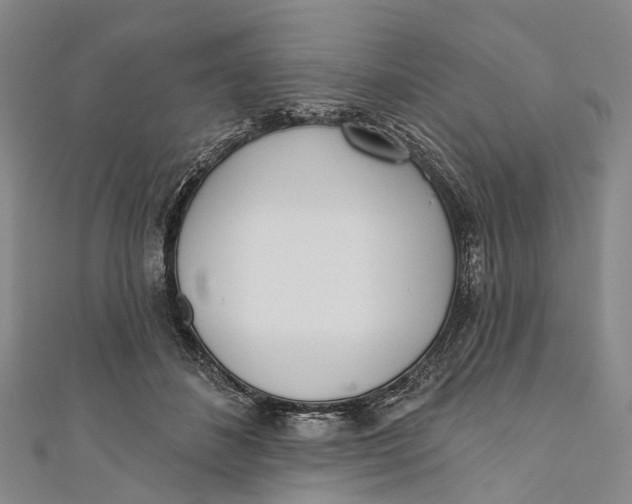 X0000110980508200907101413