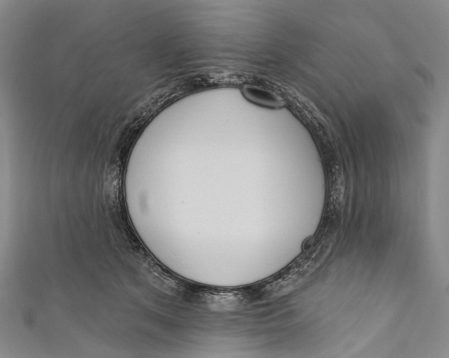 X0000110980513200907101413