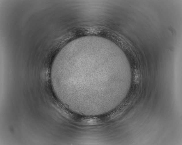 X0000110980514200907101413