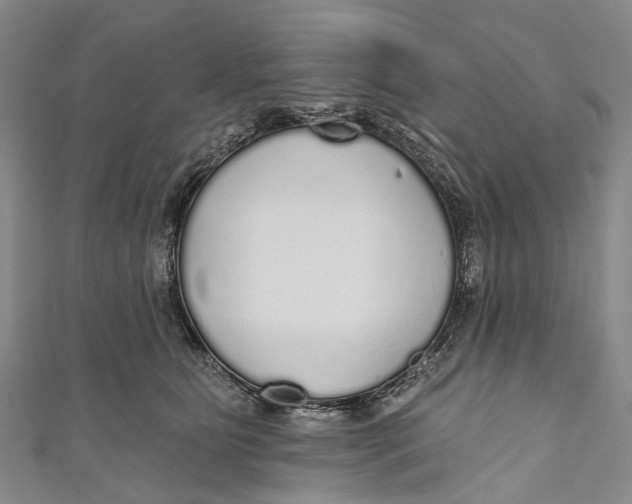 X0000110980515200907101413