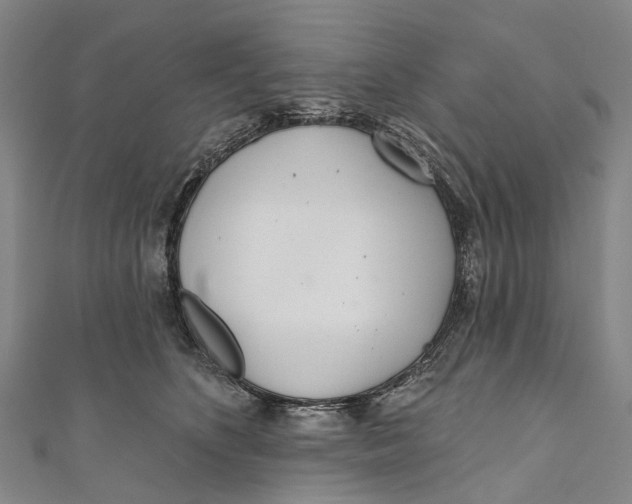 X0000110980516200907101413