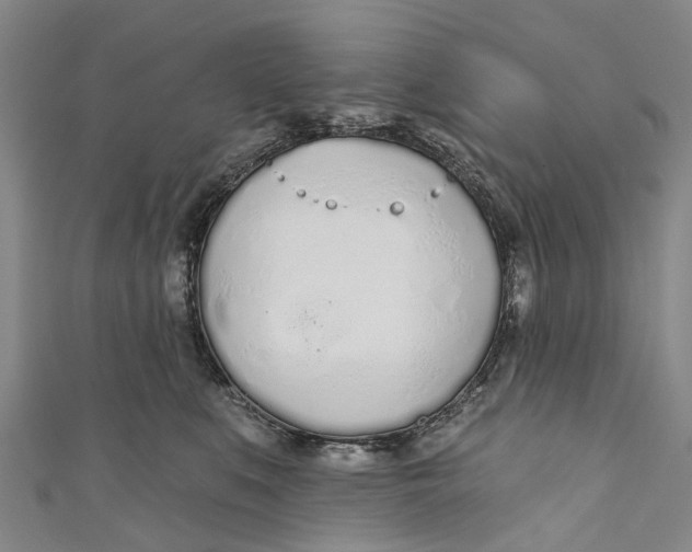 X0000110980519200907101413