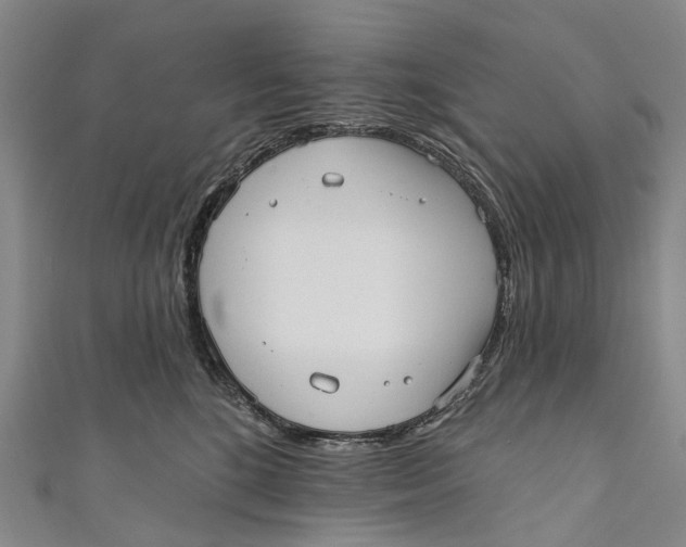 X0000110980520200907101413