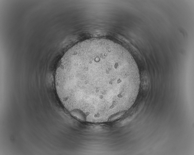 X0000110980523200907101413