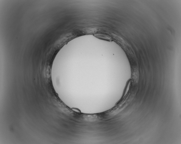 X0000110980525200907101413