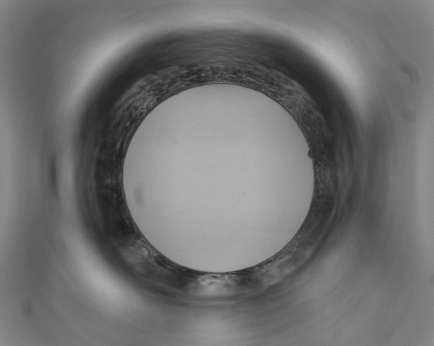 X0000110980526200907101413