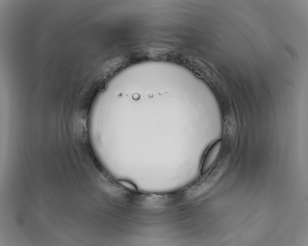 X0000110980527200907101413