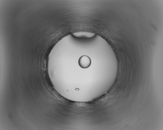 X0000110980528200907101413