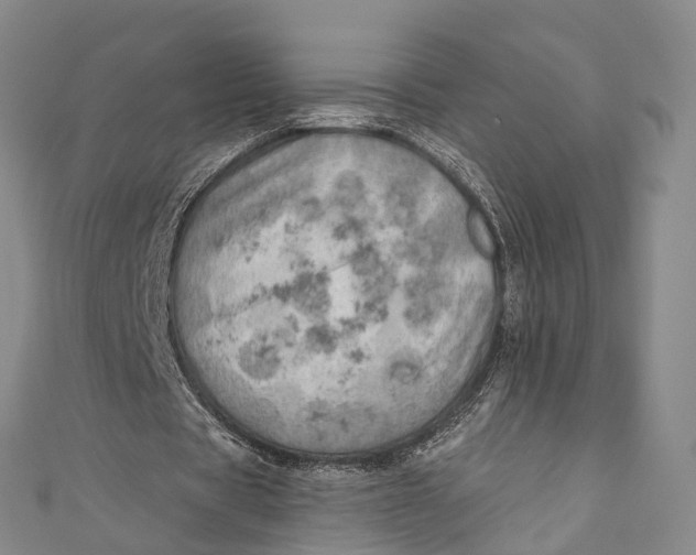 X0000110980529200907101412