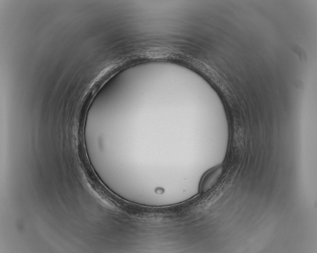 X0000110980530200907101412