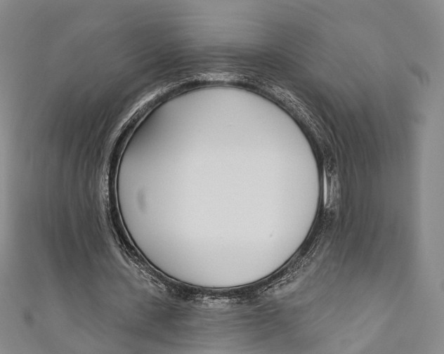 X0000110980531200907101412