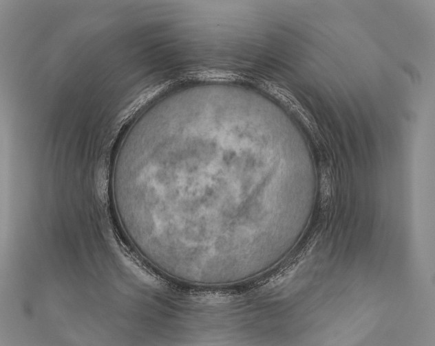 X0000110980533200907101412