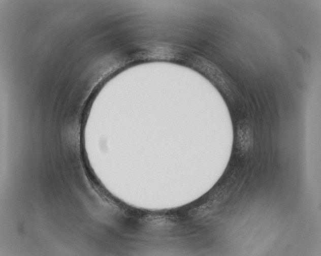 X0000110980534200907101412