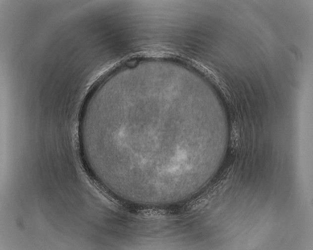 X0000110980535200907101412