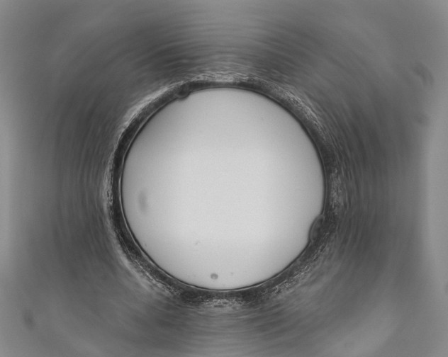 X0000110980536200907101412