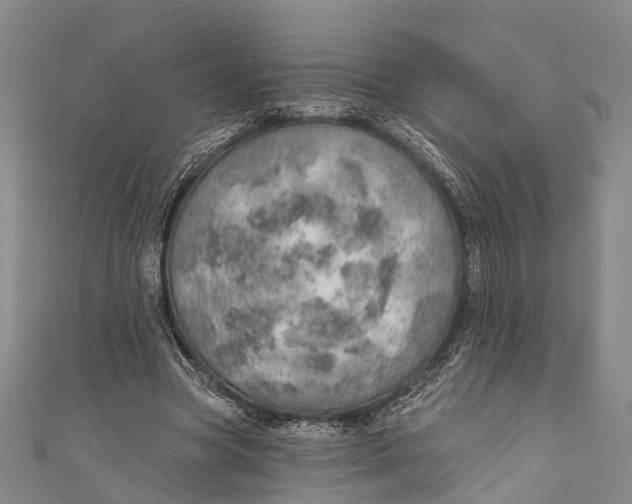 X0000110980537200907101412