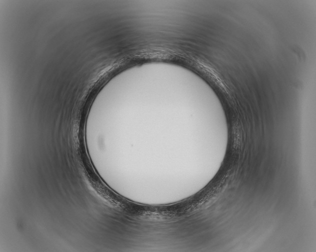 X0000110980538200907101412